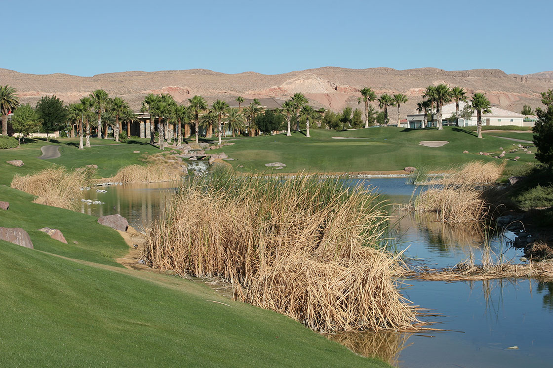 Golf Course Neighborhood